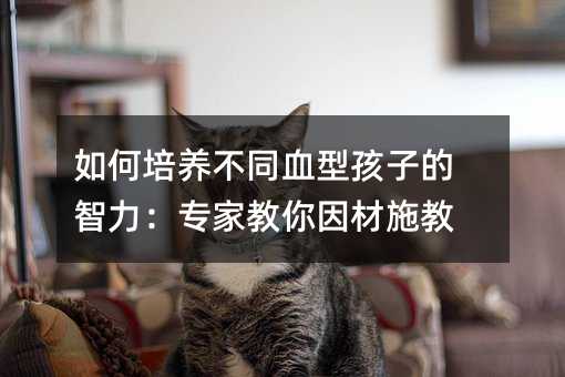 ������B��ͬѪ�ͺ��ӵ����������ҽ������ʩ��