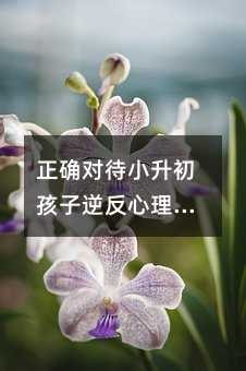 ���_����С���������淴�����ķ���