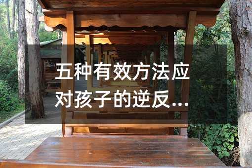 ��N��Ч�����������ӵ��淴����