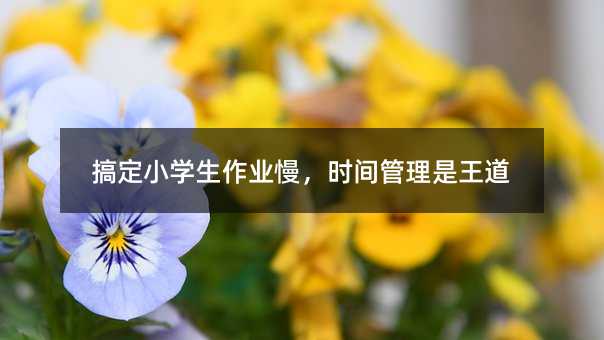 �㶨С�W(xu��)�����I(y��)�����r(sh��)�g����������