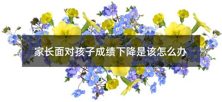 家長(zhǎng)面對(duì)孩子成績(jī)下降是該怎么辦