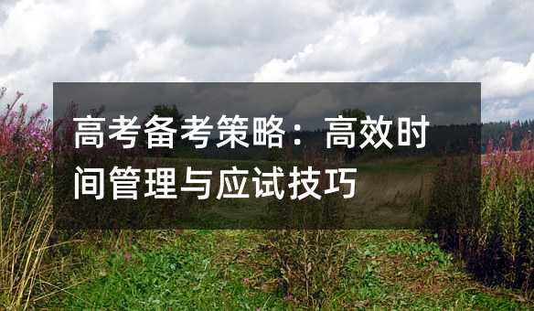 高考備考策略:高效時間管理與應試技巧