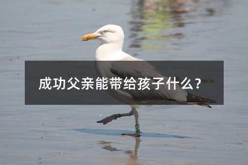 �ɹ����H�܎��o����ʲô��