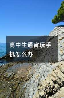 高中生通宵玩手機怎么辦