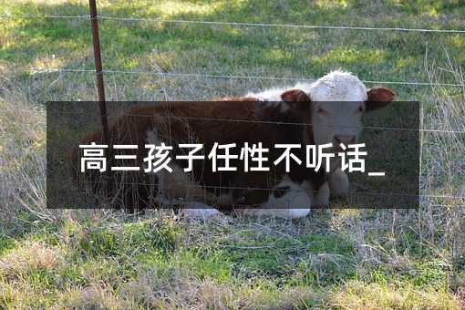 �����������Բ� Ԓ_