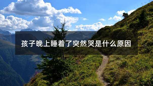 ��������˯����ͻȻ����ʲôԭ��