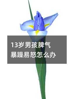 13�q�к�Ƣ�Ⱪ����ŭ��ô�k��