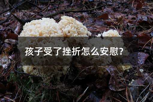 �������˴�����ô��ο��