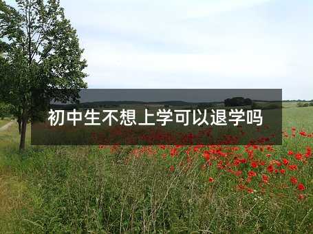 初中生不想上學(xué)可以退學(xué)嗎