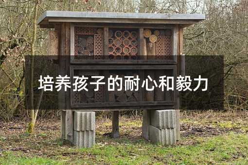 ���B���ӵ����ĺ�����