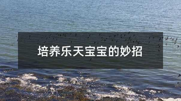 ���B(y��ng)���쌚��������