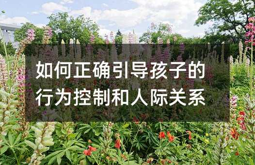 如何正確引導孩子的行為控制和人際關系