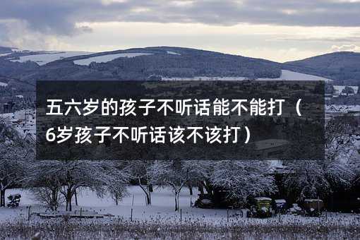 �����q�ĺ��Ӳ� Ԓ�ܲ��ܴ�6�q���Ӳ� Ԓԓ��ԓ��