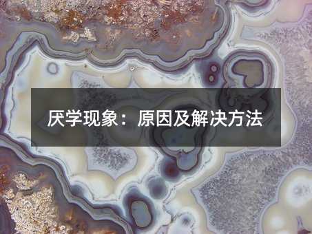 ���W�F��ԭ�򼰽�Q����