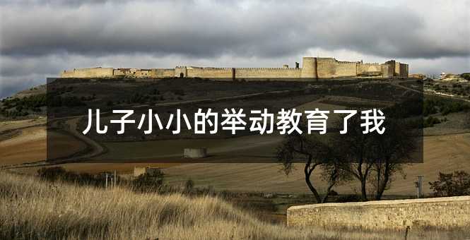 ����СС���e�ӽ�������