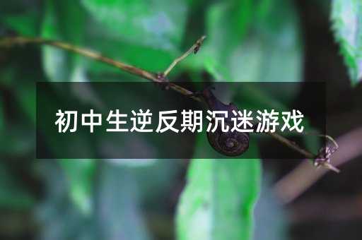 �������淴�ڳ����Α�