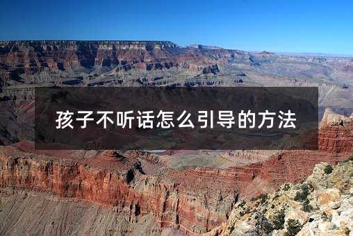 孩子不聽話怎么引導(dǎo)的方法