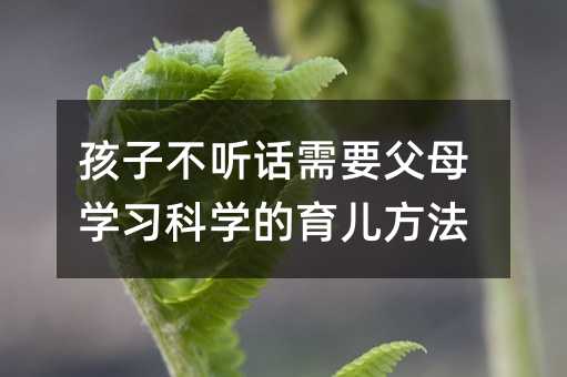 ���Ӳ� Ԓ��Ҫ��ĸ�W���ƌW����������