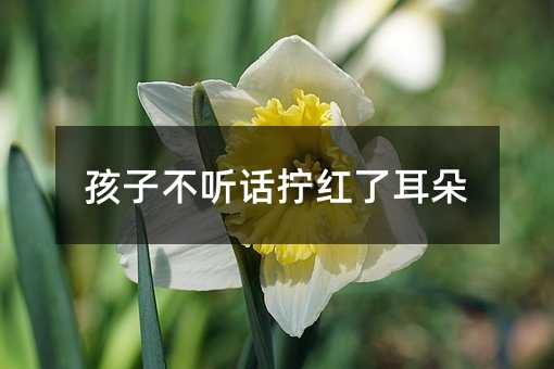 ���Ӳ� Ԓ�Q�t�˶���