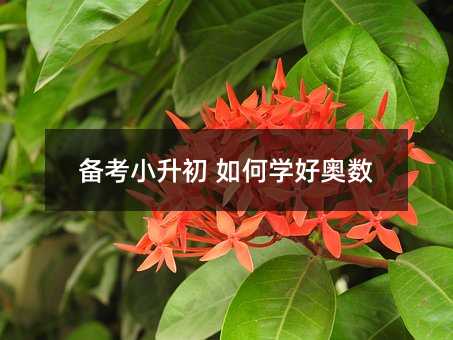 �俼С���� ��ΌW�ÊW��