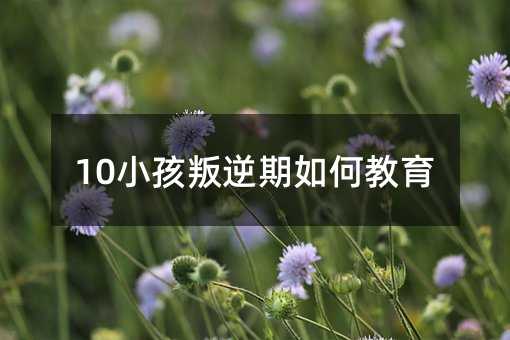 10С����������ν���