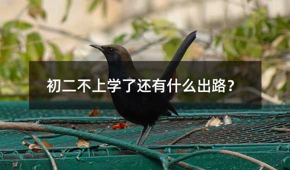 �������όW��߀��ʲô��·��