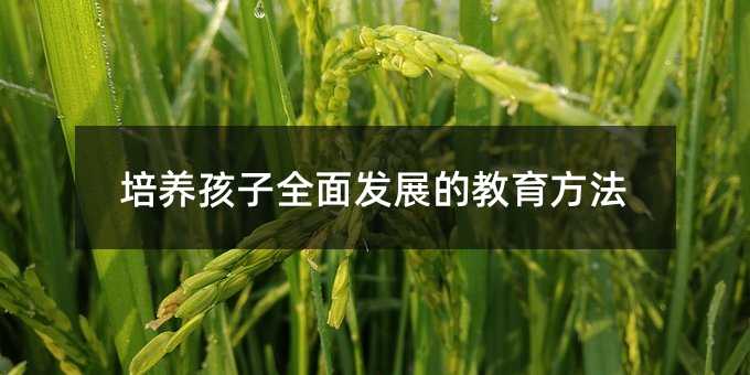 ���B����ȫ��lչ�Ľ�������