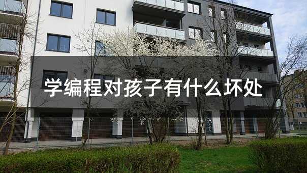 學編程對孩子有什么壞處