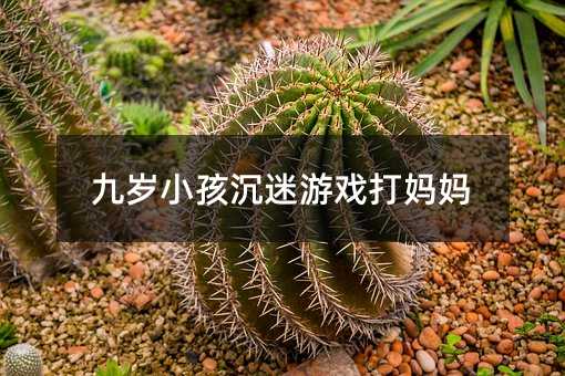 �ŚqС�������Α�򋌋�