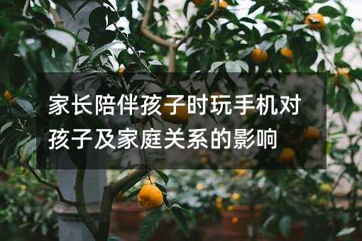 ���L��麢�ӕr���֙C�����Ӽ���ͥ�P(gu��n)ϵ��Ӱ�