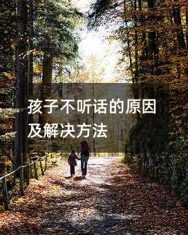 ���Ӳ� Ԓ��ԭ�򼰽�Q����