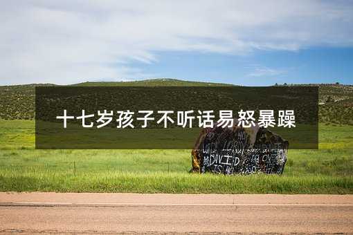 ʮ�ߚq���Ӳ� Ԓ��ŭ����