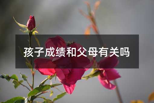 ���ӳɿ�(j��)�͸�ĸ���P(gu��n)��