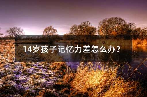 14�q����ӛ��������ô�k��