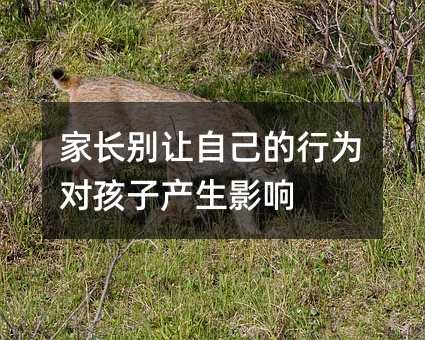 ���L�e׌�Լ����О錦���Ӯa��Ӱ�