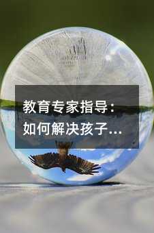 教育專家指導:如何解決孩子不認真學習的問題