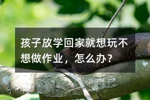 ���ӷŌW(xu��)�ؼҾ����治�������I(y��)����ô�k��