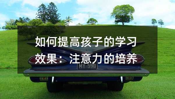 如何提高孩子的學習效果:注意力的培養