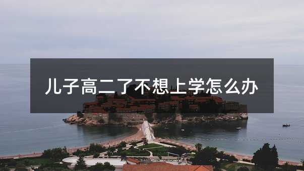 兒子高二了不想上學怎么辦