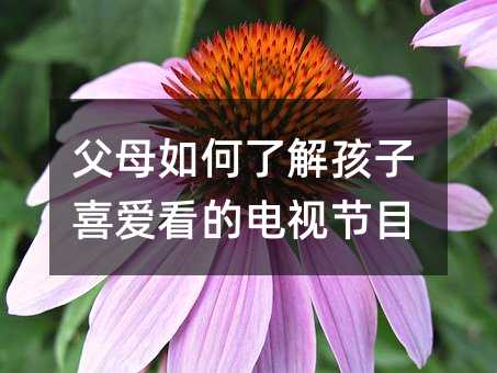 父母如何了解孩子喜愛看的電視節目