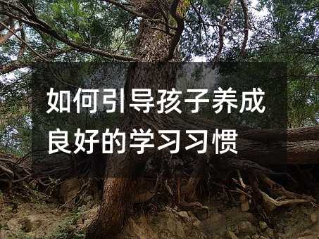 ������������B�����õČW�����T