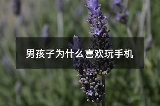 �к��Ӟ�ʲôϲ�g���֙C