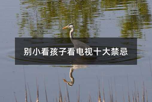 �eС�����ӿ��ҕʮ�����