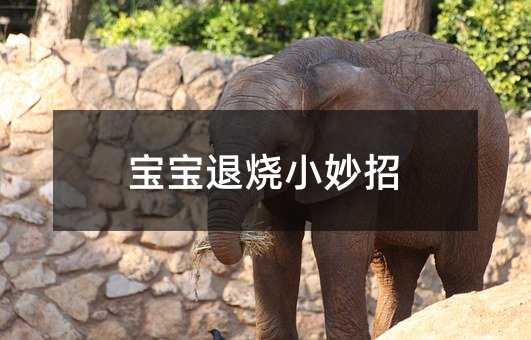 �����˟�С����