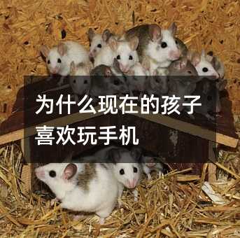 ��ʲô�F(xi��n)�ڵĺ���ϲ�g���֙C