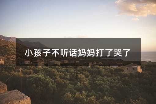 С���Ӳ� Ԓ�������˿���