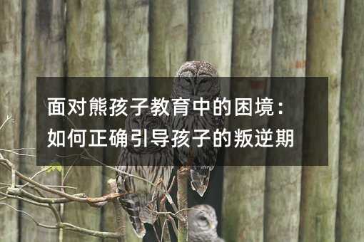 面對熊孩子教育中的困境:如何正確引導孩子的叛逆期