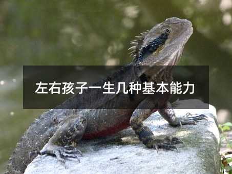 ���Һ���һ���׷N��������