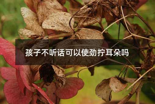 ���Ӳ� Ԓ����ʹ�ŔQ�����