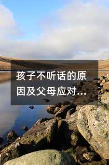 ���Ӳ� Ԓ��ԭ�򼰸�ĸ��������